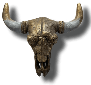 buffalo skull